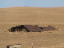 2005_BrannanIslandCampout 046