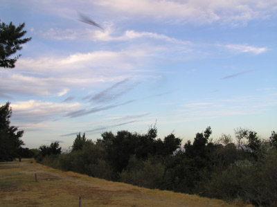 PA070004