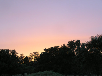 PA070009