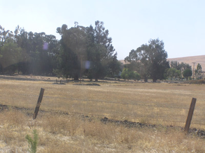 PA080071
