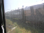 PA080067