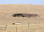PA080076
