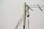 DSC00079