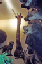 FARCE_425