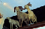 FARCE_428