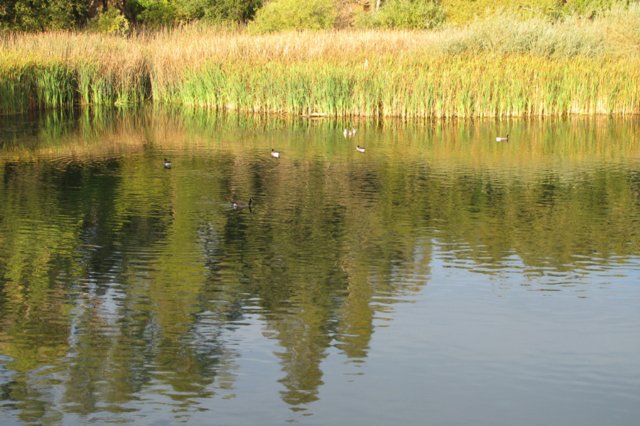 photo.jpg