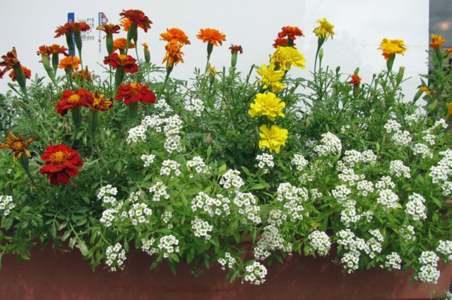 photo15.jpg