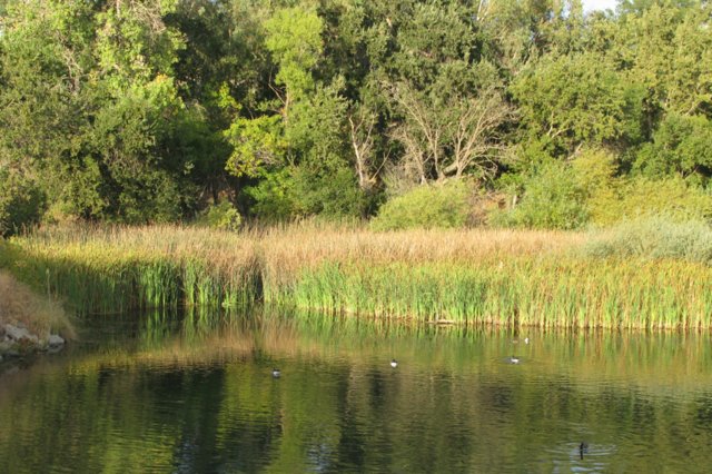 photo2.jpg