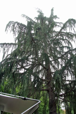 photo29.jpg