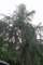 photo30_small.jpg
