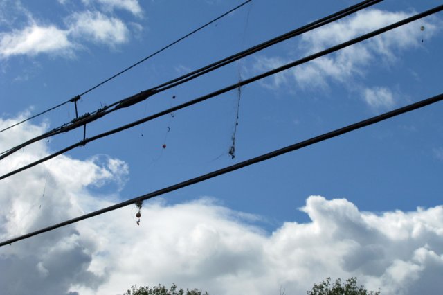 photo40.jpg