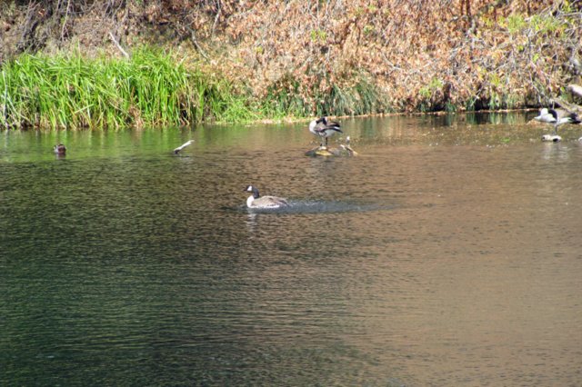 photo42.jpg