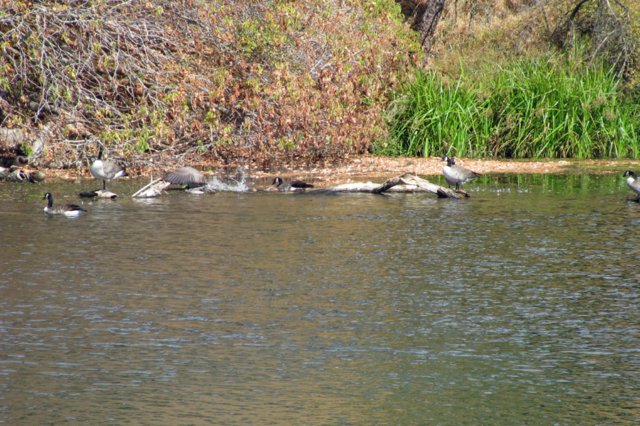 photo43.jpg