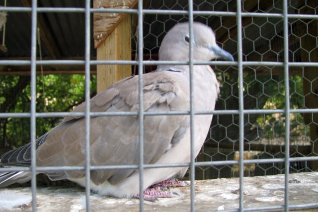 photo46.jpg