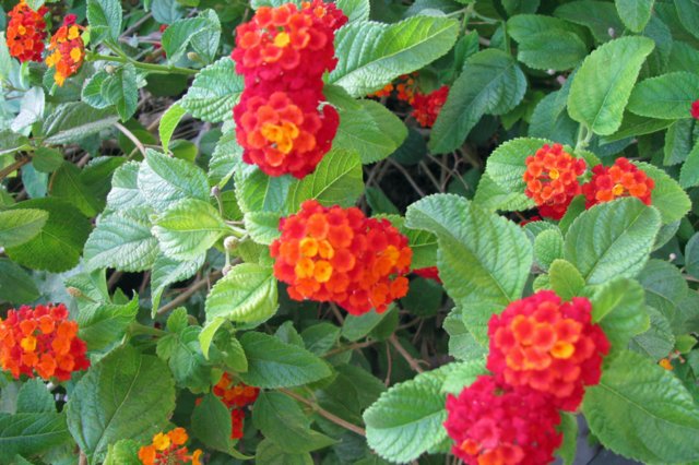 photo56.jpg