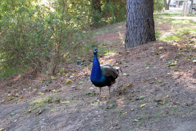 photo68.jpg