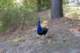 photo68_small.jpg