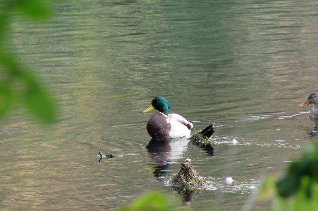photo72.jpg