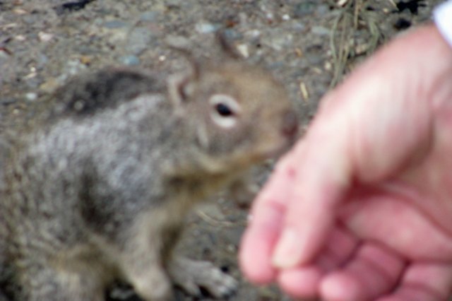 photo74.jpg