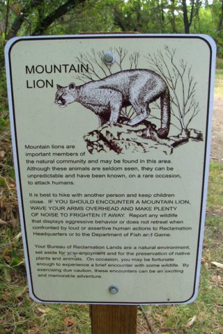 photo77.jpg