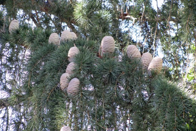photo80.jpg