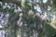 photo80_small.jpg