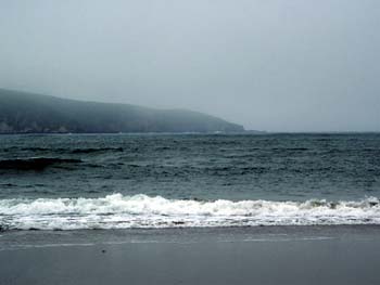 DSCF0023
