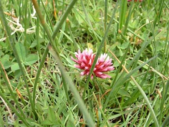 DSCF0045
