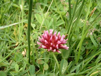 DSCF0046