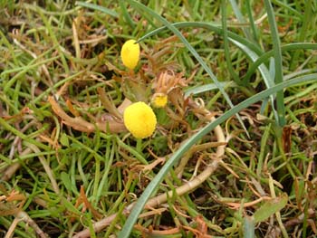 DSCF0047