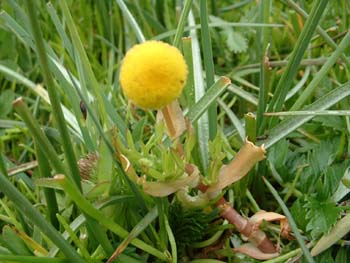 DSCF0048