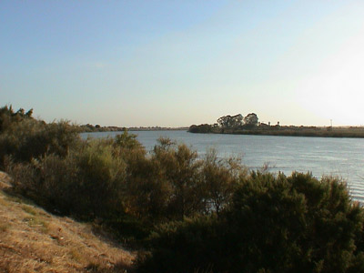 2005_BrannanIslandCampout 010