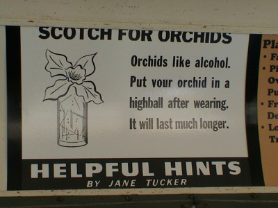 2005_BrannanIslandCampout 052